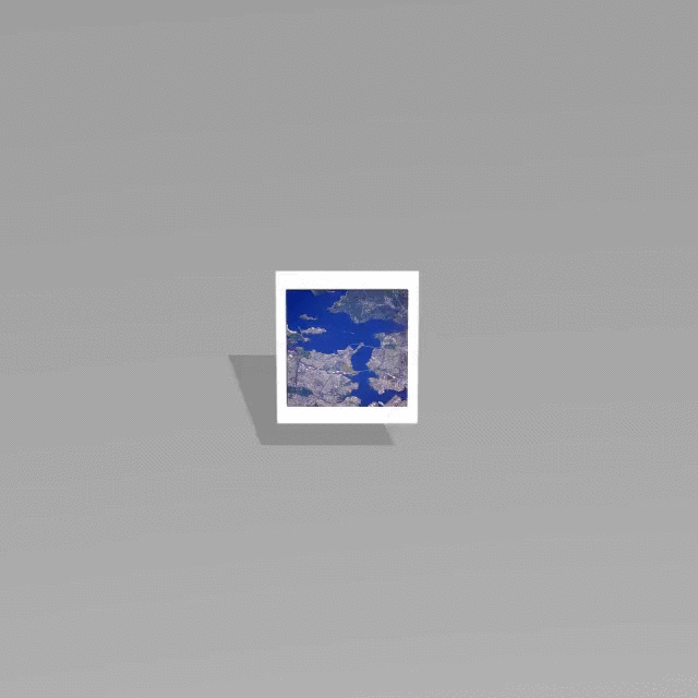 My Profile Picture